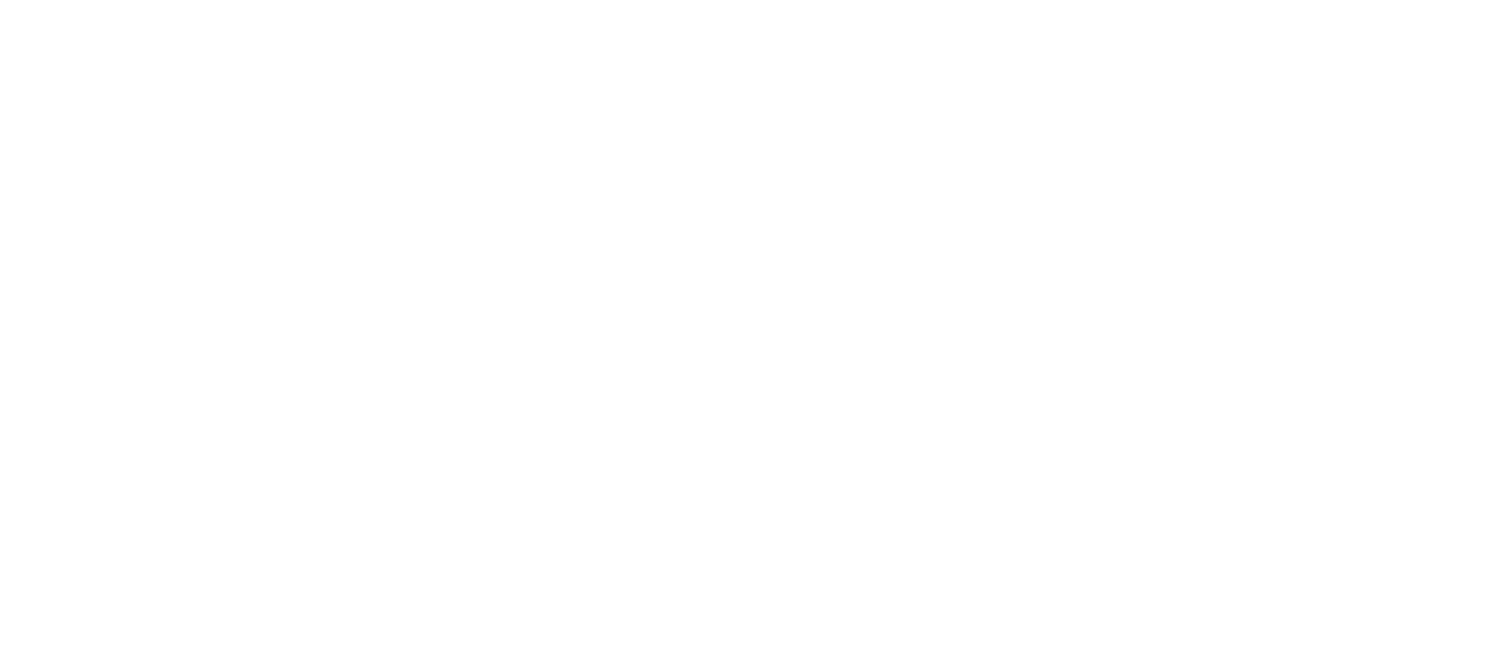 Iron Rider Logo